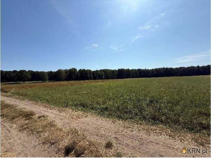 Lokal użytkowy  na sprzedaż, , Gozdy, ul. 