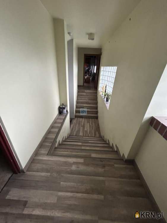 Gliwice, ul. , Lokal użytkowy  do wynajęcia, 20 pokojowe