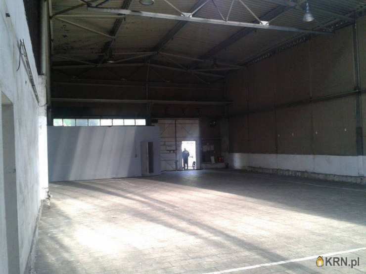 Lokal użytkowy  do wynajęcia, , Katowice, ul. 