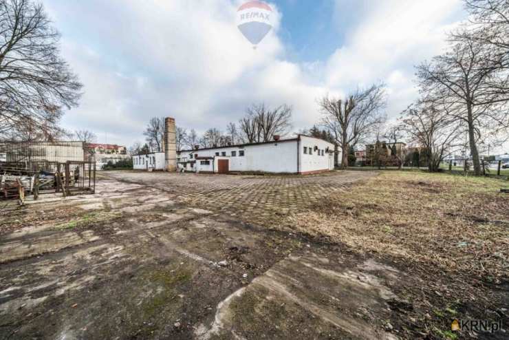 , Lokal użytkowy  do wynajęcia, Kostrzyn, ul. 