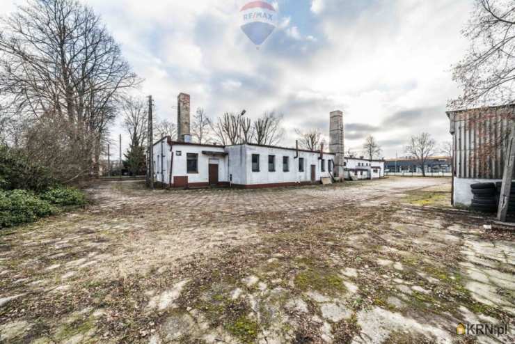 Lokal użytkowy  do wynajęcia, Kostrzyn, ul. , 