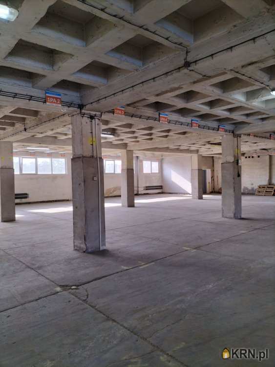 Lokal użytkowy  do wynajęcia, Sosnowiec, Pogoń, ul. Ptasia, 