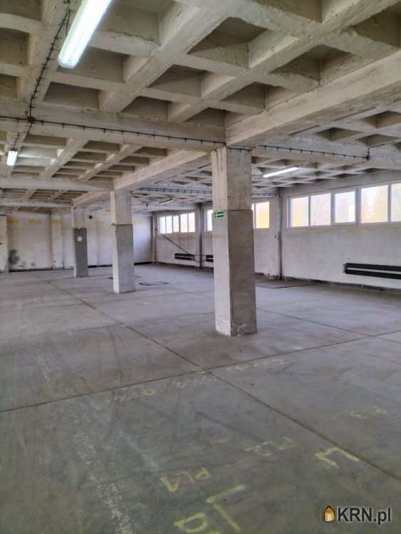 Sosnowiec, Pogoń, ul. Ptasia, Lokal użytkowy  do wynajęcia, 