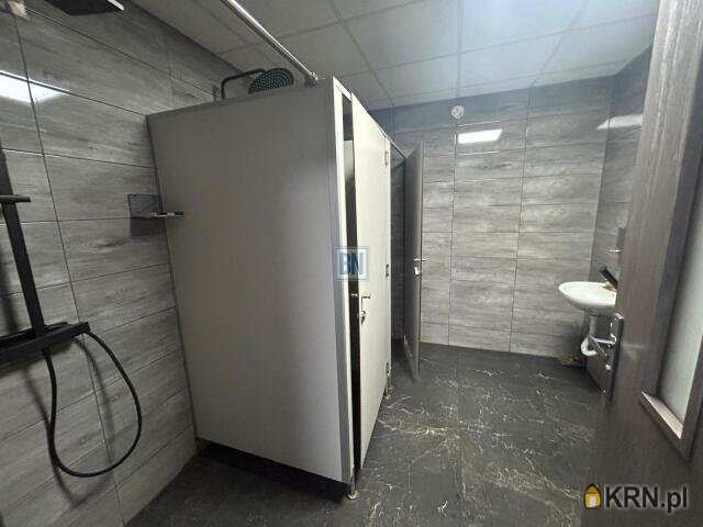 5 pokojowe, Mysłowice, ul. , Lokal użytkowy  do wynajęcia