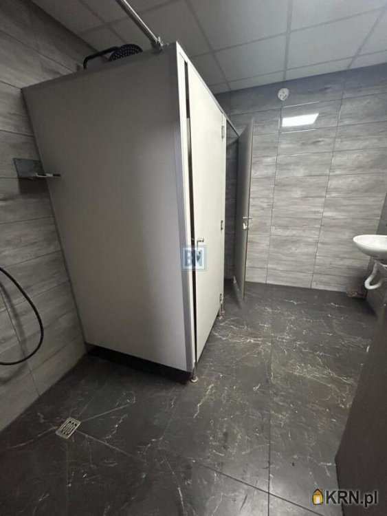 5 pokojowe, Lokal użytkowy  do wynajęcia, Mysłowice, ul. 