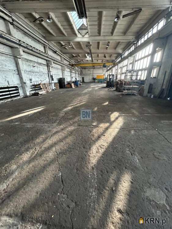 Lokal użytkowy  do wynajęcia, Mysłowice, ul. , 5 pokojowe