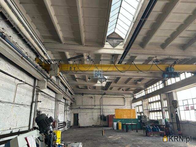 5 pokojowe, Lokal użytkowy  do wynajęcia, Mysłowice, ul. 