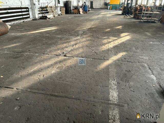 BN Nieruchomości, Lokal użytkowy  do wynajęcia, Mysłowice, ul. 