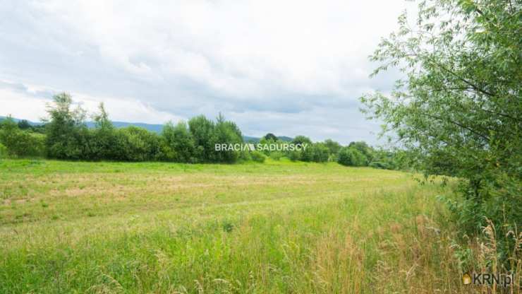 Bracia Sadurscy Oddział BS1 Kapelanka, Lokal użytkowy  na sprzedaż, Jaroszowice, ul. 