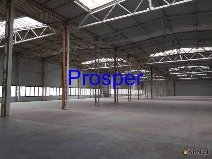 Lokal użytkowy  do wynajęcia, , Olkusz, ul. 