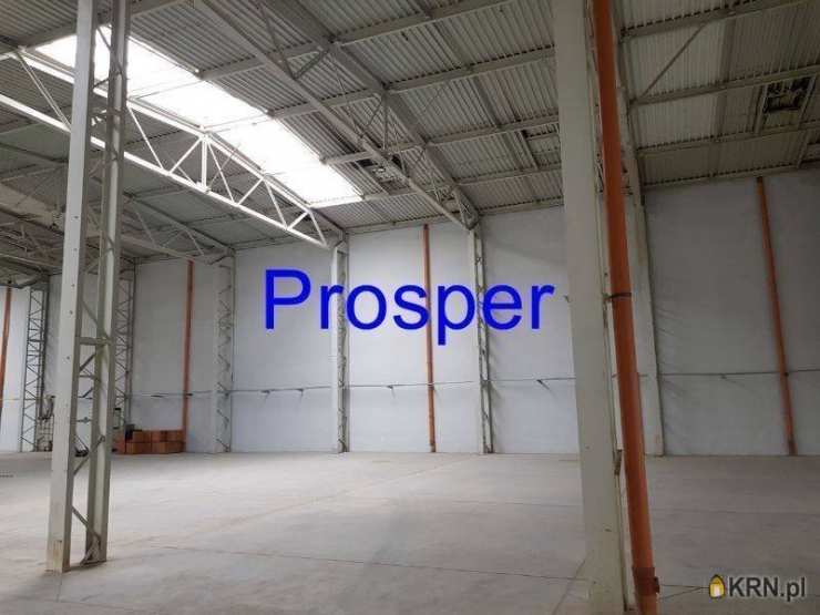 Olkusz, ul. , Lokal użytkowy  do wynajęcia, 