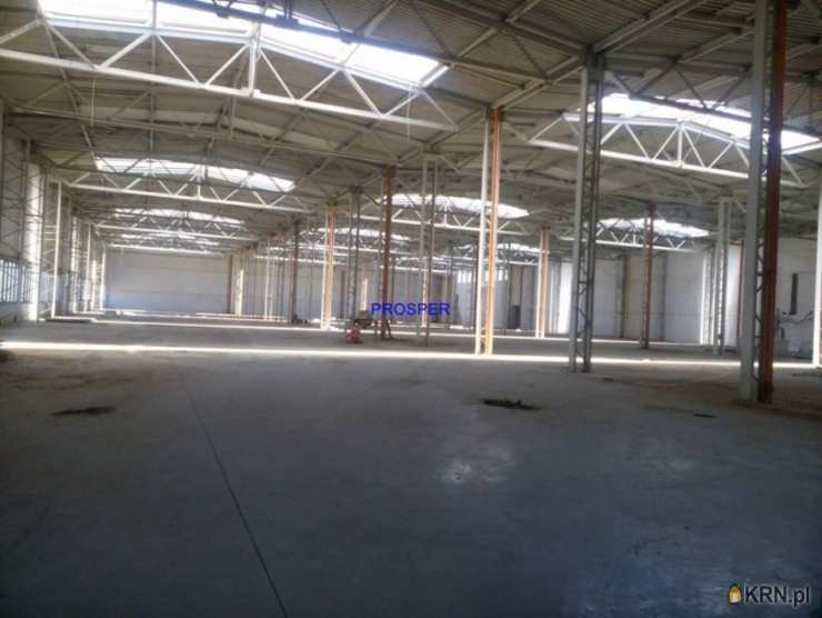 Olkusz, ul. , , Lokal użytkowy  do wynajęcia