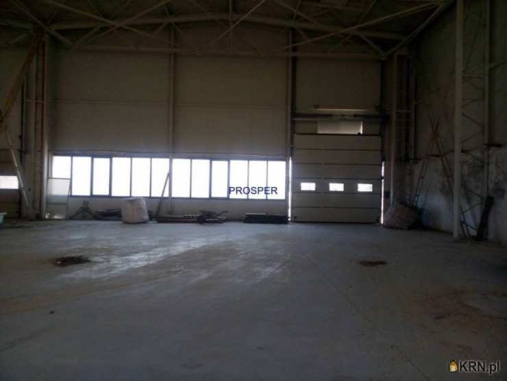 Lokal użytkowy  do wynajęcia, Olkusz, ul. , 