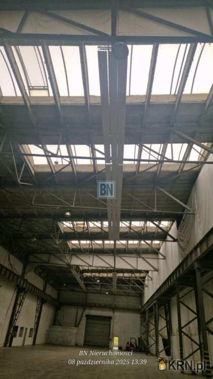 Lokal użytkowy  do wynajęcia, 2 pokojowe, Zabrze, ul. 