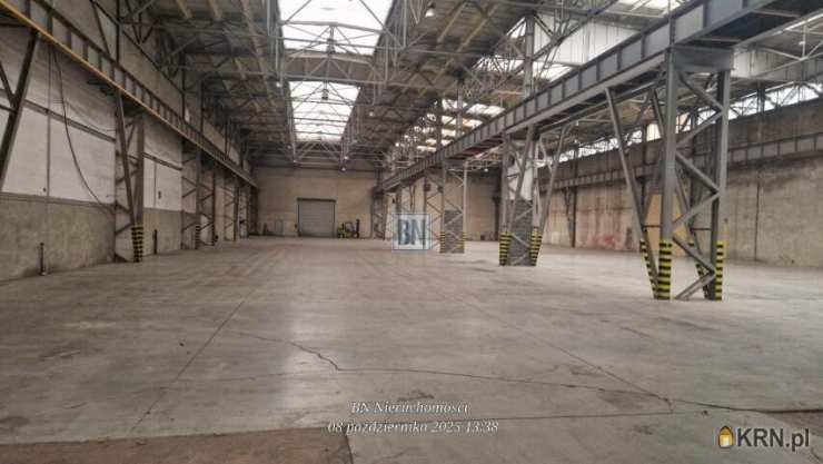 Lokal użytkowy  do wynajęcia, 2 pokojowe, Zabrze, ul. 