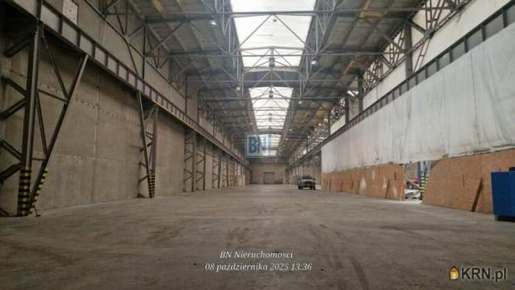 Zabrze, ul. , Lokal użytkowy  do wynajęcia, 2 pokojowe