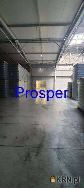 Lokal użytkowy  do wynajęcia, Zabrze, ul. , 