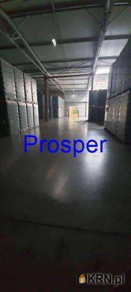 Lokal użytkowy  do wynajęcia, , Zabrze, ul. 