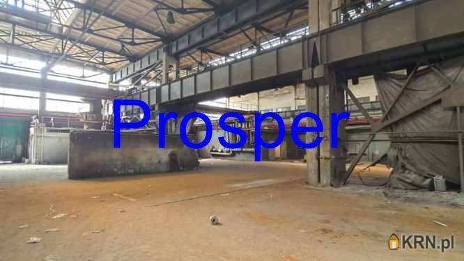 Zabrze, ul. , Lokal użytkowy  na sprzedaż, 