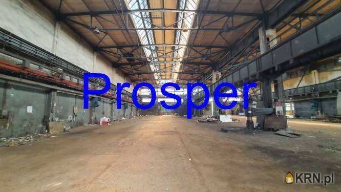 , Zabrze, ul. , Lokal użytkowy  na sprzedaż