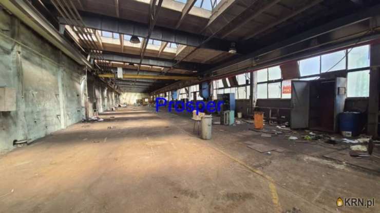 Zabrze, ul. , Lokal użytkowy  na sprzedaż, 