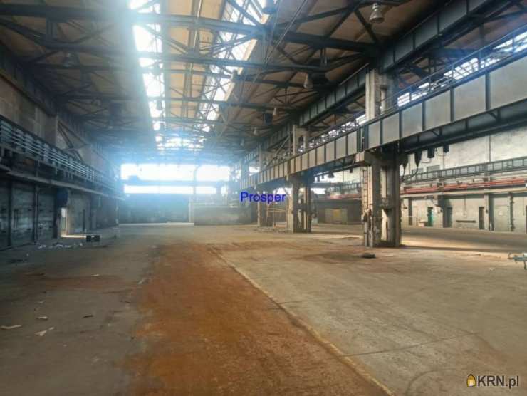 Lokal użytkowy  na sprzedaż, Zabrze, ul. , 