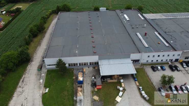 Lokal użytkowy  na sprzedaż, , Kietrz, ul. 