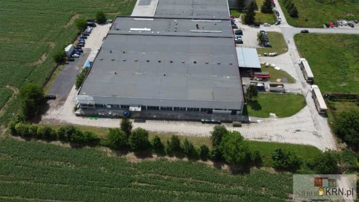 Kietrz, ul. , Lokal użytkowy  na sprzedaż, 