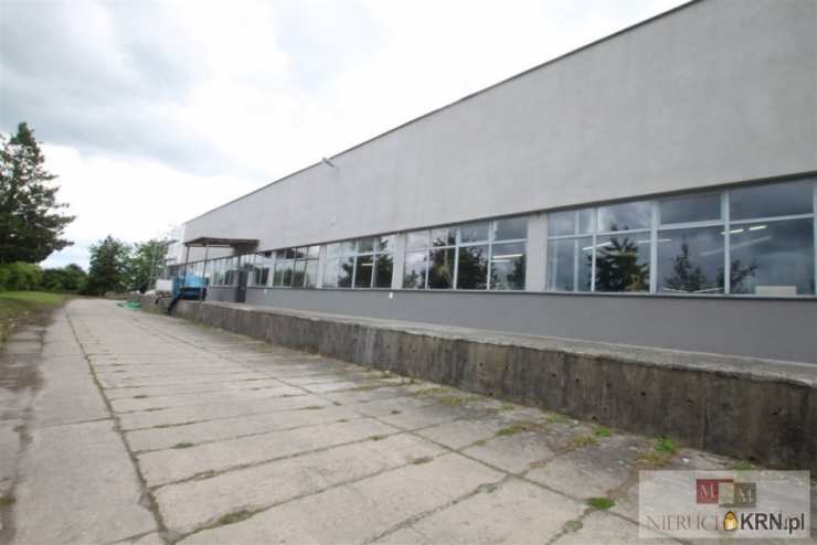 , Lokal użytkowy  na sprzedaż, Kietrz, ul. 