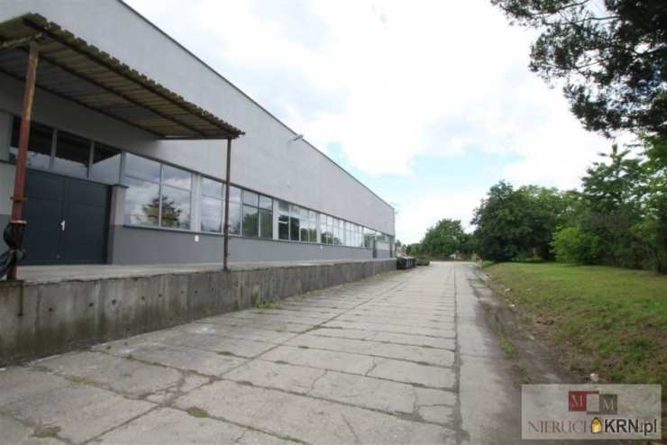 MM Nieruchomości, Lokal użytkowy  na sprzedaż, Kietrz, ul. 