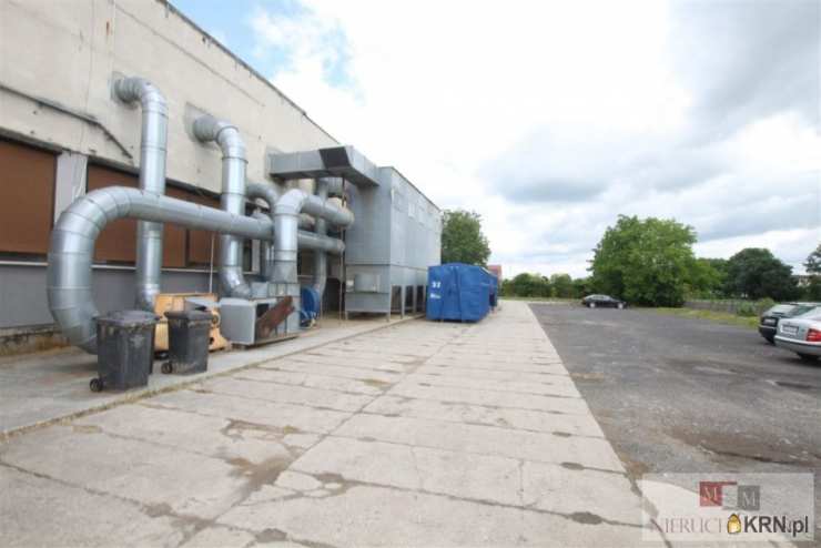 Lokal użytkowy  na sprzedaż, Kietrz, ul. , 