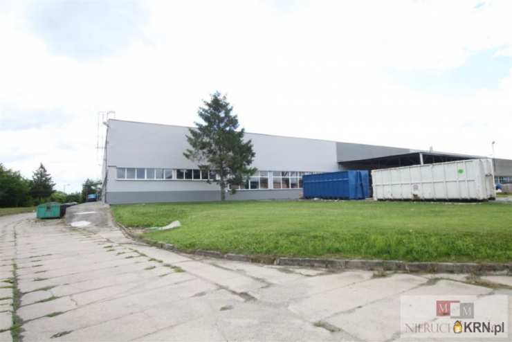 Lokal użytkowy  na sprzedaż, , Kietrz, ul. 