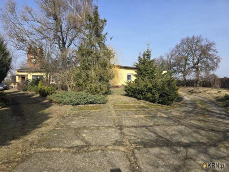 Lokal użytkowy  na sprzedaż, Kurów, ul. , 5 pokojowe