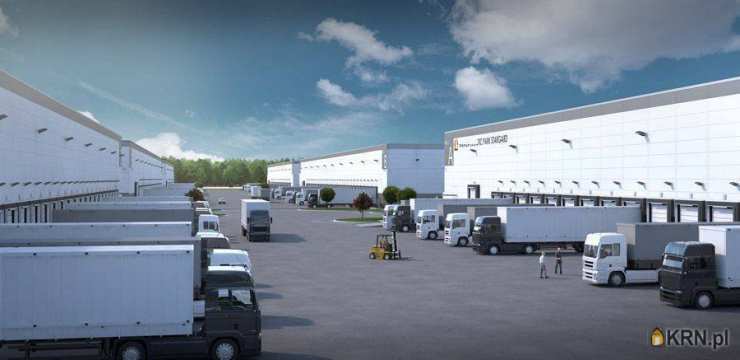 Lokal użytkowy  do wynajęcia, Stargard Szczeciński, ul. , 