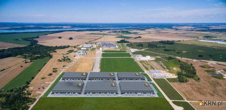 Lokal użytkowy  do wynajęcia, , Stargard Szczeciński, ul. 