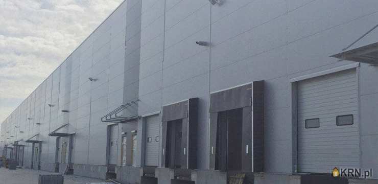 Stargard Szczeciński, ul. , Lokal użytkowy  do wynajęcia, 