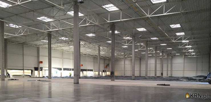 Stargard Szczeciński, ul. , , Lokal użytkowy  do wynajęcia