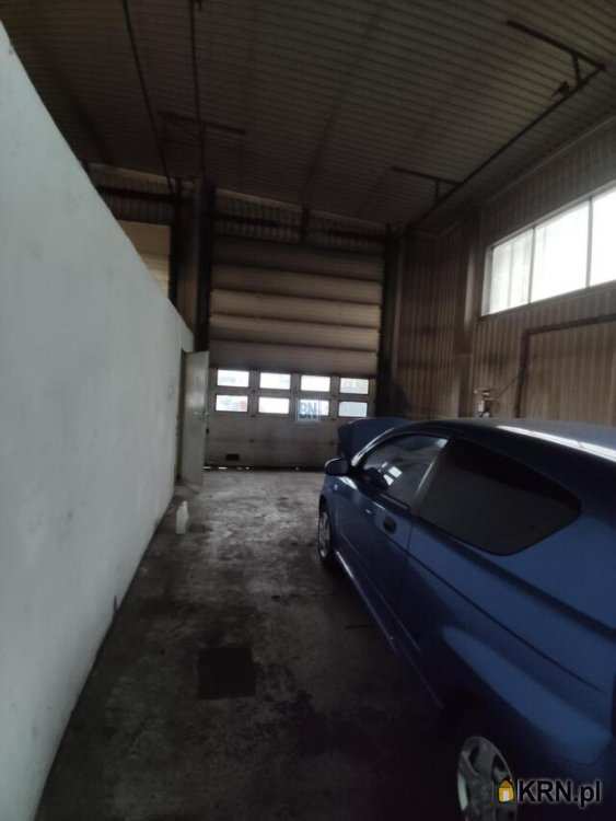 Gliwice, ul. , Lokal użytkowy  do wynajęcia, 1 pokojowe