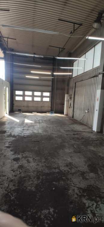 Lokal użytkowy  do wynajęcia, Gliwice, ul. , 1 pokojowe