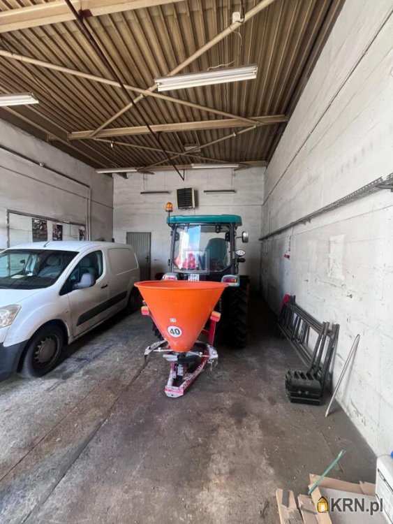 Katowice, ul. , Lokal użytkowy  do wynajęcia, 