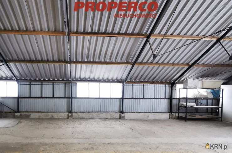 Kielce, ul. , Lokal użytkowy  do wynajęcia, 