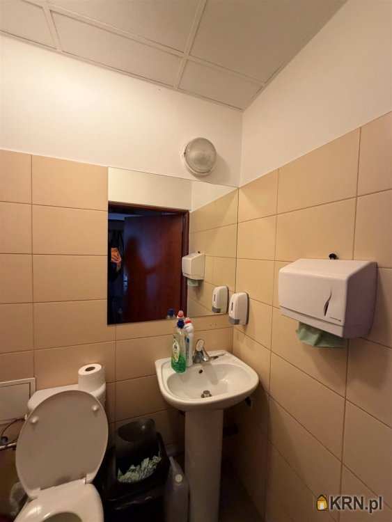 Kraków, Stare Miasto, ul. , , Lokal użytkowy  do wynajęcia