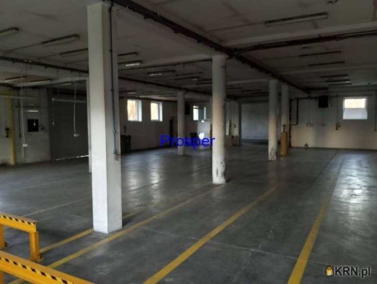 Lokal użytkowy  do wynajęcia, Bielsko-Biała, ul. , 