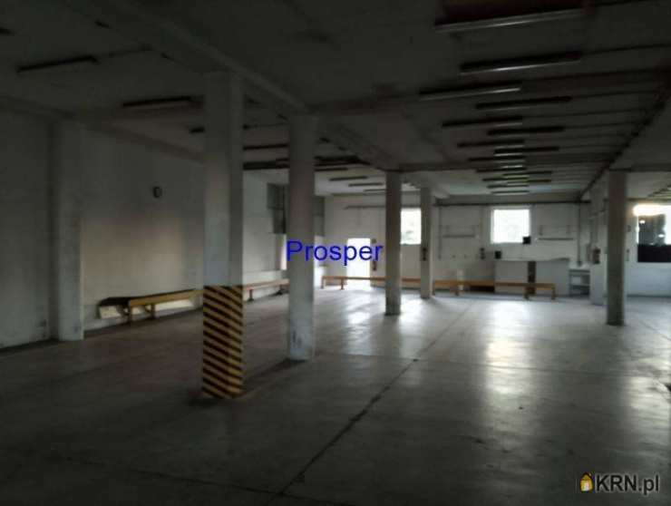 Bielsko-Biała, ul. , Lokal użytkowy  do wynajęcia, 