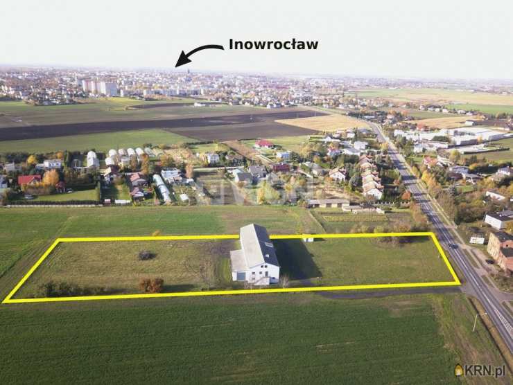 Lokal użytkowy  do wynajęcia, 1 pokojowe, Jacewo, ul. 