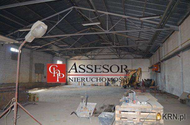 Lokal użytkowy  do wynajęcia, Kalisz, Winiary, ul. , 