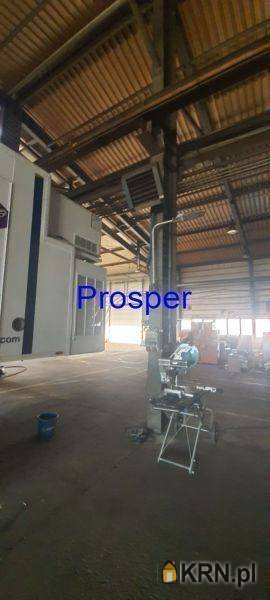 Mikołów, ul. , , Lokal użytkowy  do wynajęcia