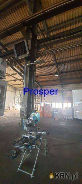 , Mikołów, ul. , Lokal użytkowy  do wynajęcia