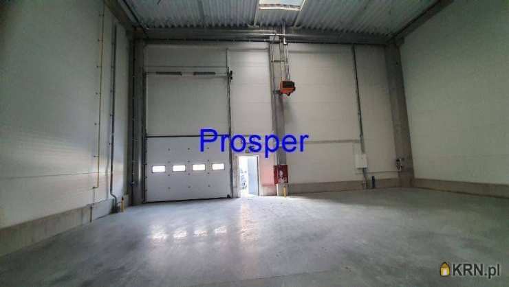 Lokal użytkowy  do wynajęcia, Ruda Śląska, ul. , 