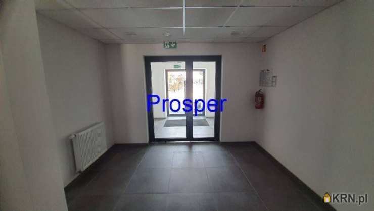 Lokal użytkowy  do wynajęcia, , Ruda Śląska, ul. 